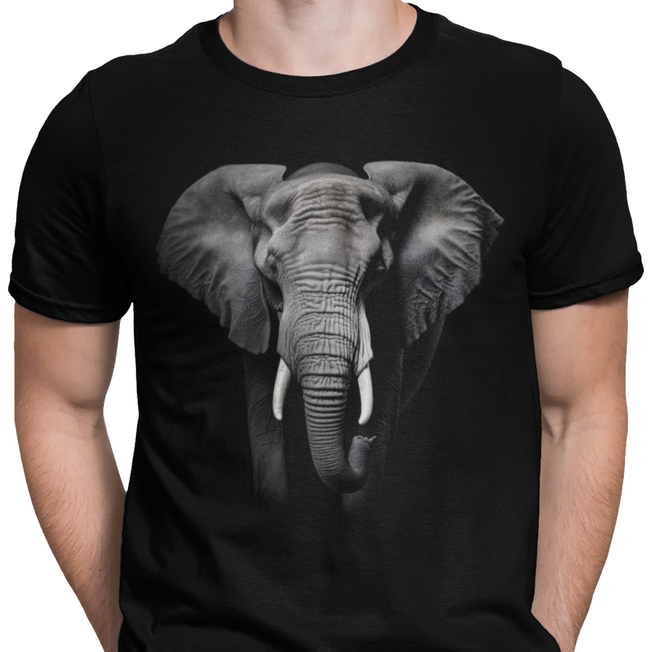 CAMISETA ELEFANTE AFRICANO