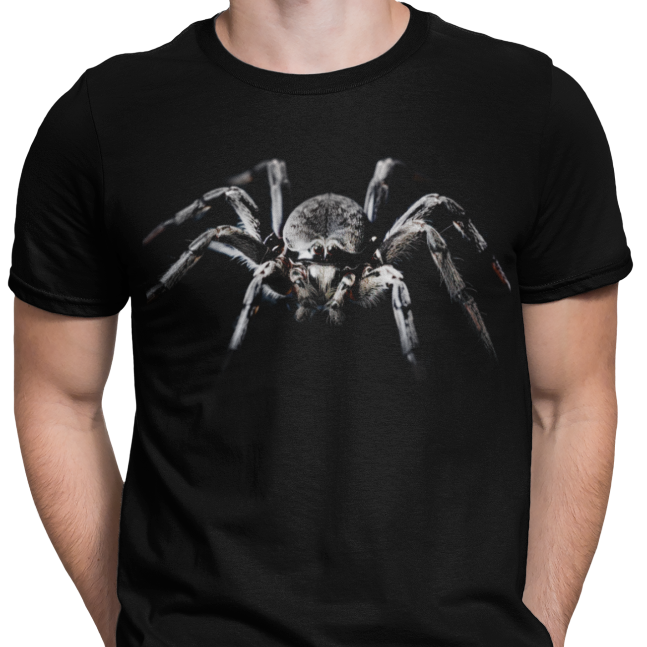 CAMISETA TARANTULA