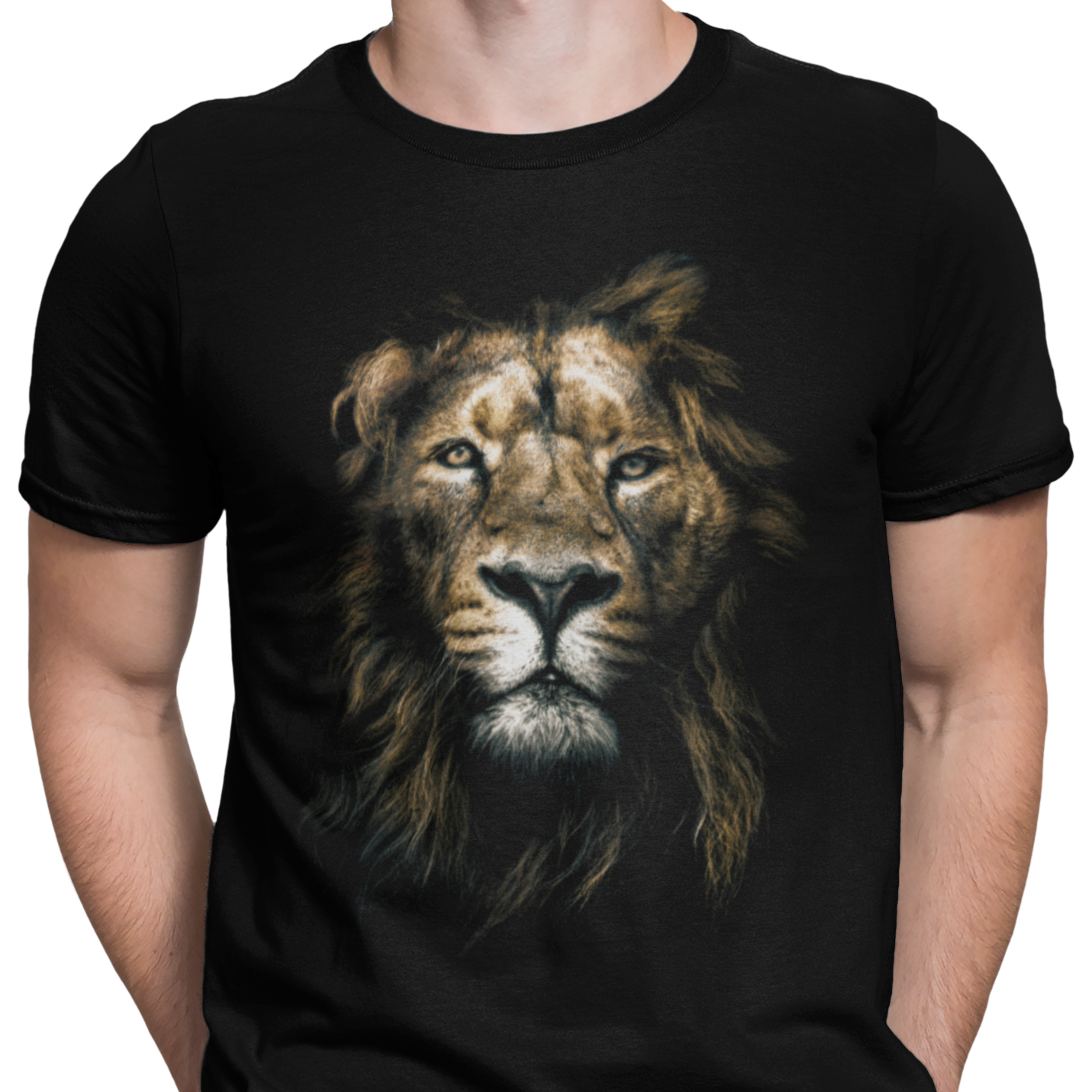 CAMISETA VIEJO LEON
