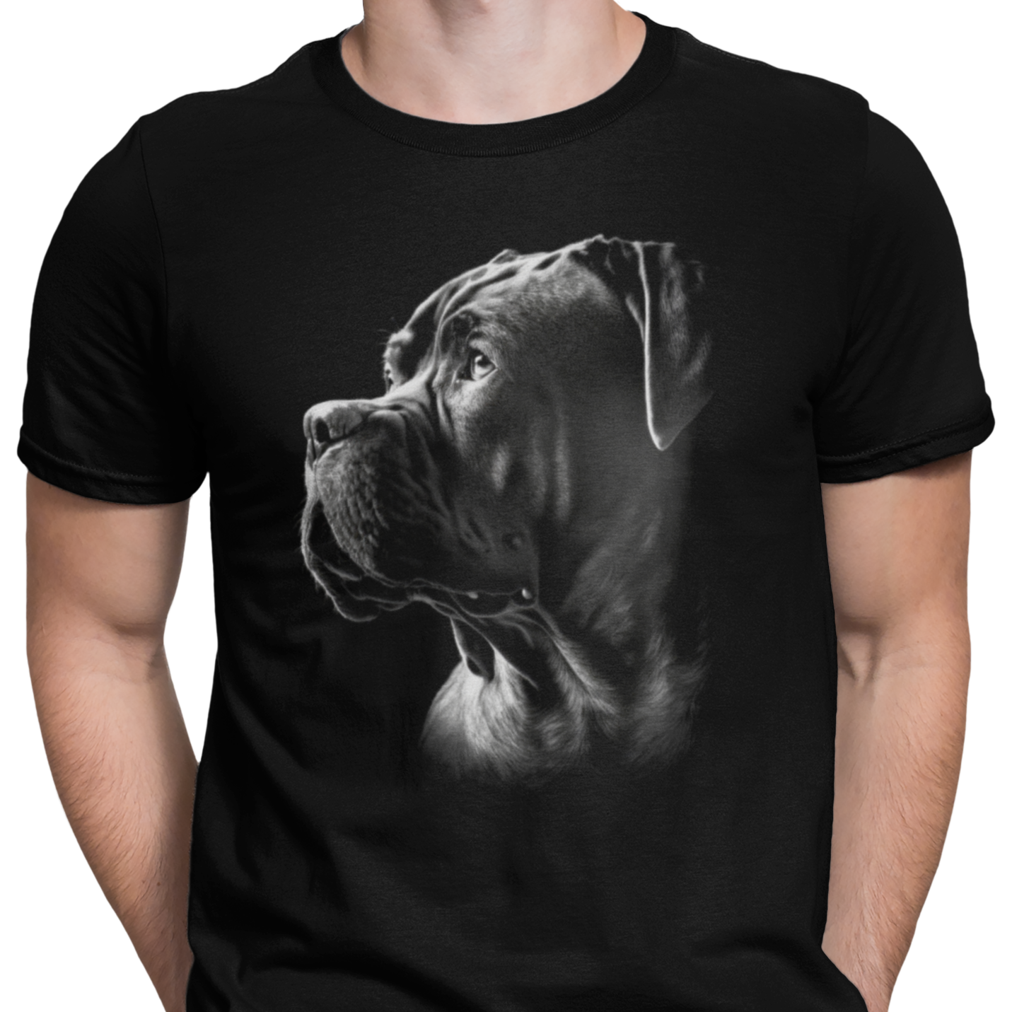 CAMISETA PERRO BOXER