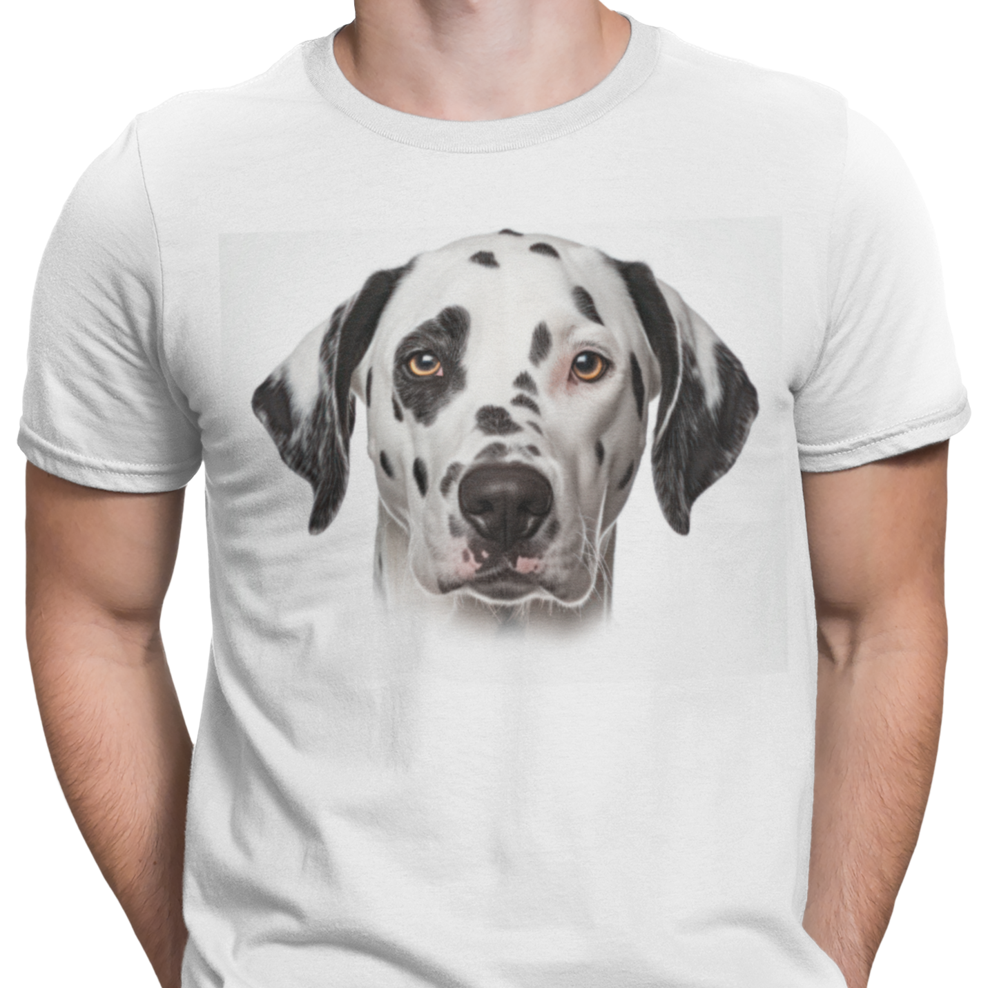 CAMISETA PERRO DALMATA
