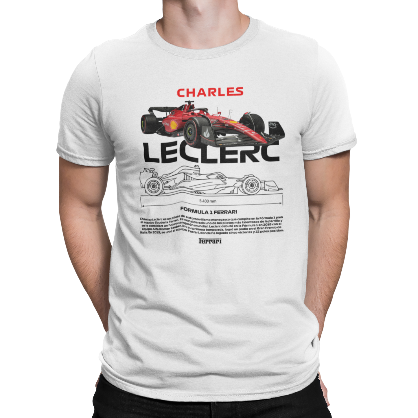 CAMISETA / SUDADERA COCHES FORMULA 1 CHARLES LECLERC