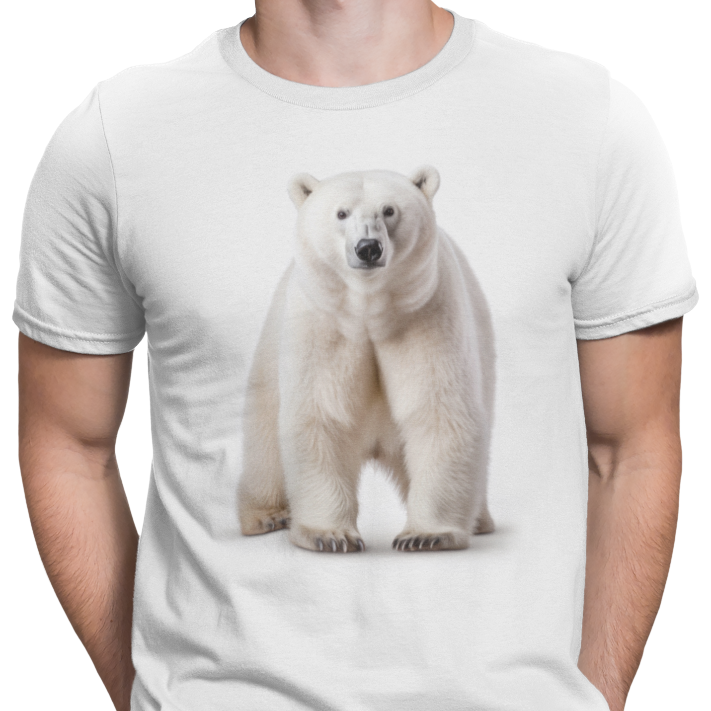 CAMISETA OSO POLAR