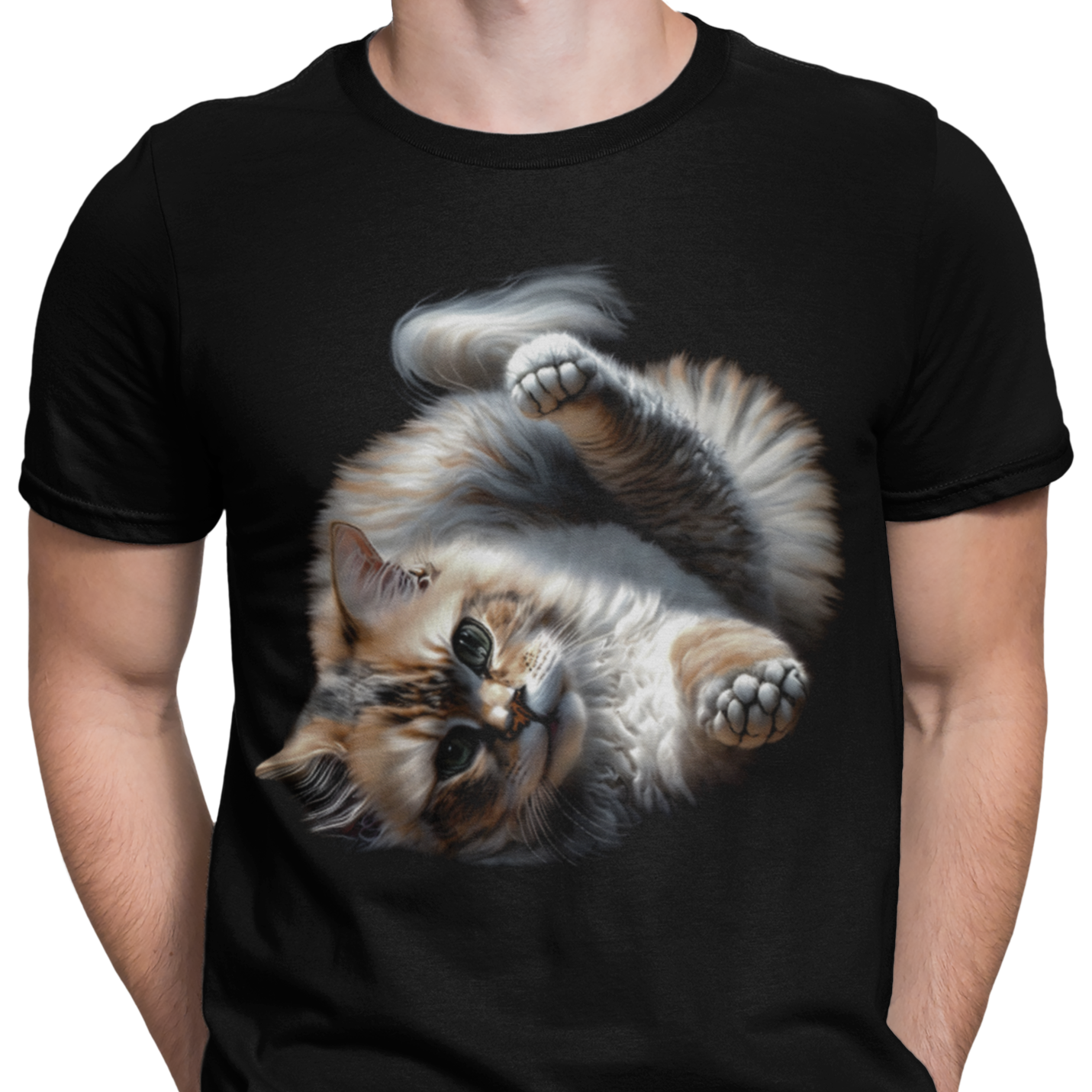 CAMISETA GATO ANGORA