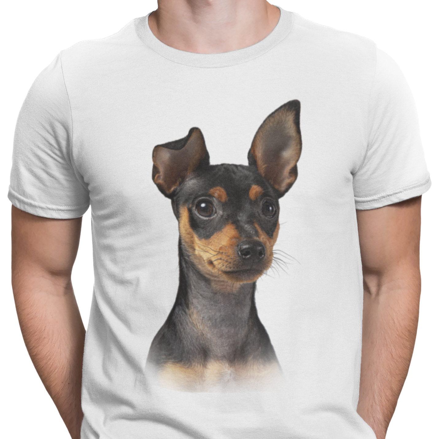 CAMISETA PERRO PINCHER ENANO