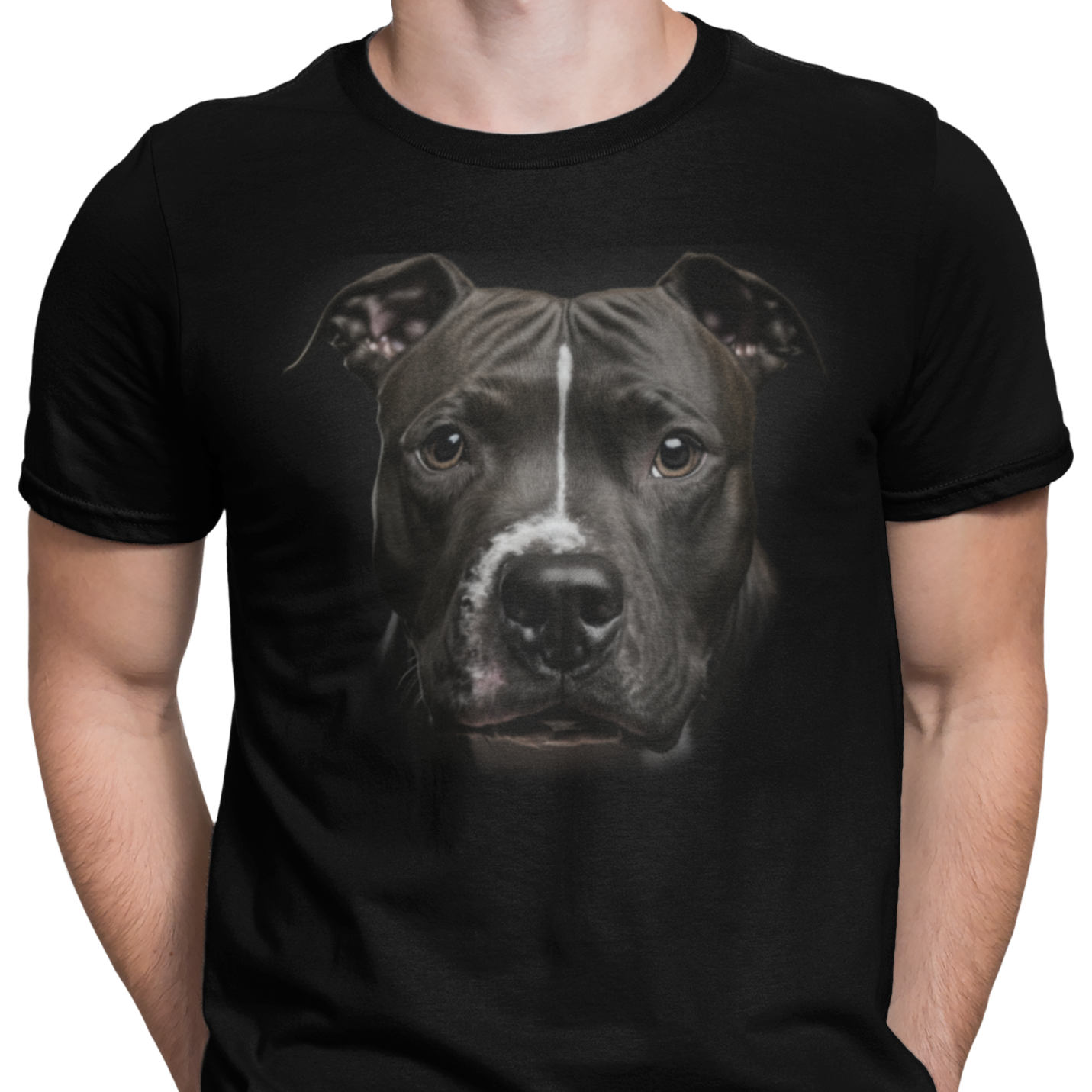 CAMISETA PERRO PITBULL