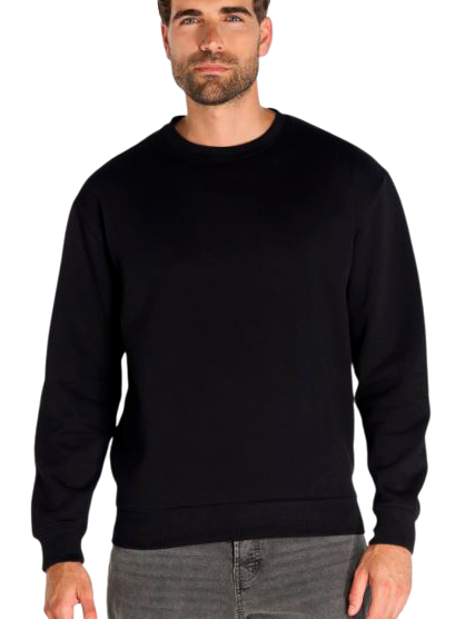 CAMISETA / SUDADERA COCHES NISSAN GTR NISMO
