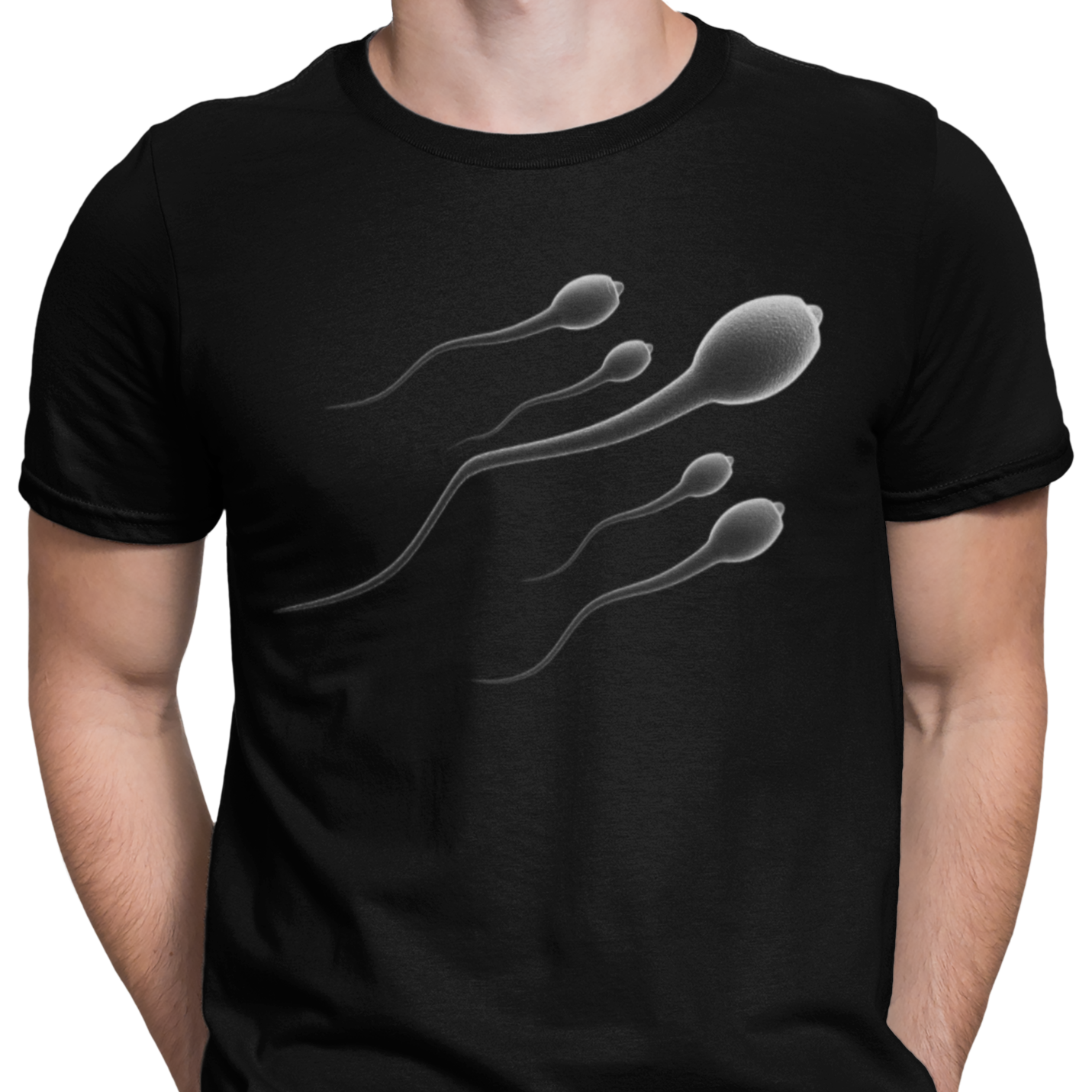 CAMISETA / SUDADERA ESPERMATOZOIDES